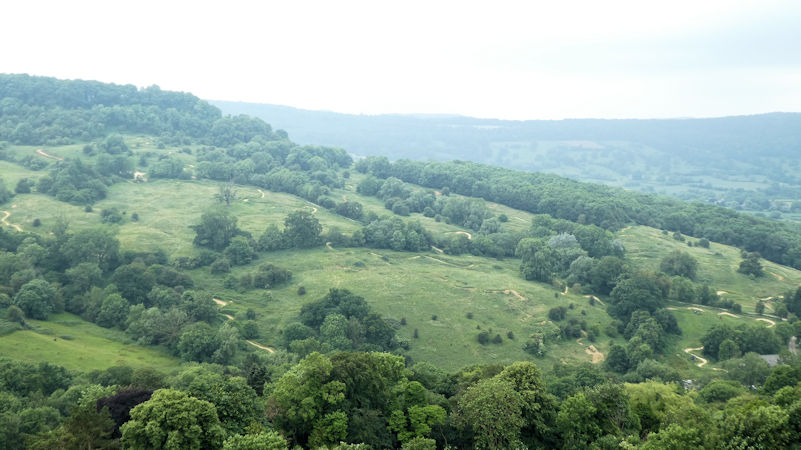 view